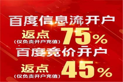 某公司网站sem托管项目纪实